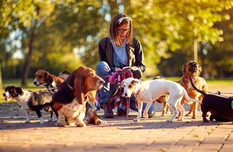 The 10 best dog walkers in Caloocan .